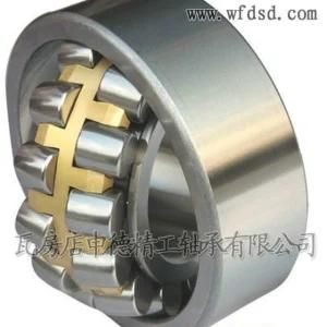 Spherical Roller Bearing (21313)