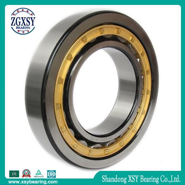 Cylindrical Roller Bearing Nu209m Bearing