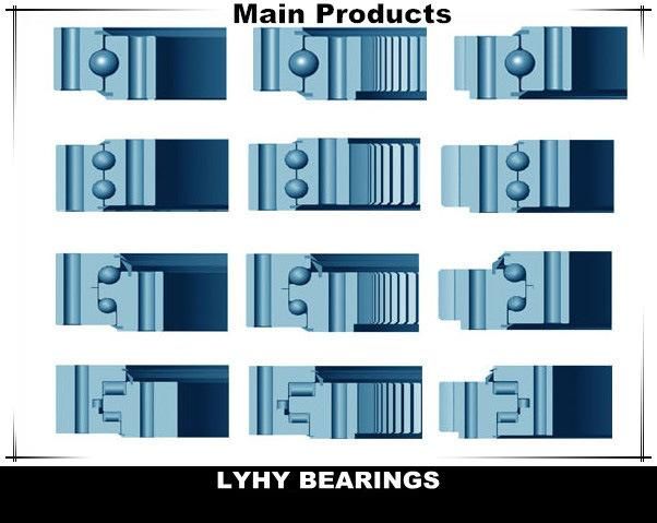 High Precision Slewing Ring Bearing with Internal Gear Teeth 5124.20.45.0-1.2510.00