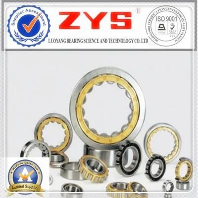 Line Contact Cylindrical Roller Bearings N1020K with International Certification