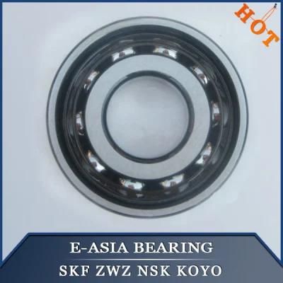 NTN NSK Ceramic Good Price Self -Aligning Ball Bearing 1204