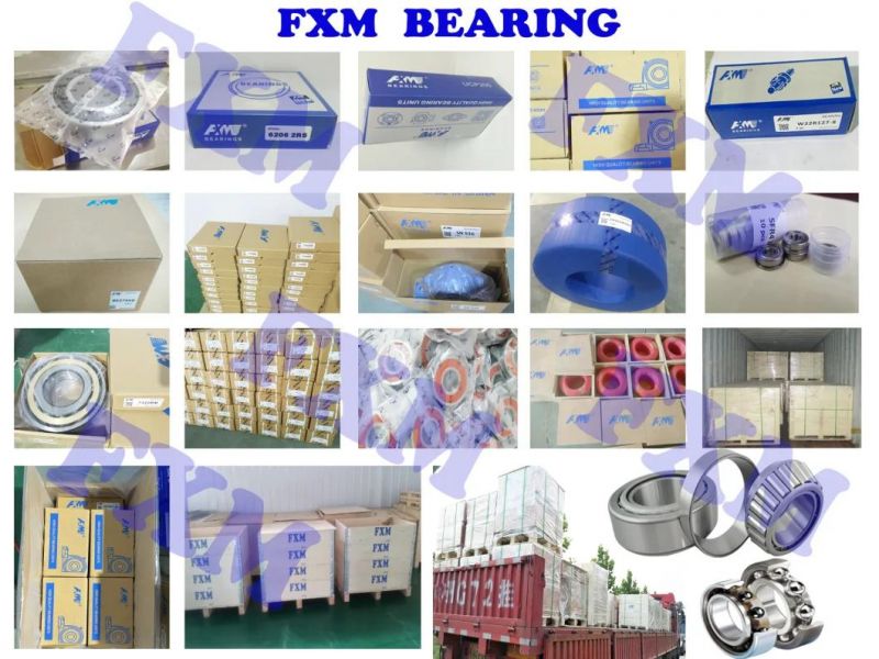 Insert Bearing /Bearing Manufacture/PA66 Retainer