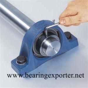 Pillow Block Bearing Unit Sbpfl206-20 Housing Bearing for Machines for Food