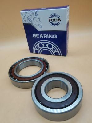 Motorized Spindle/Ball Screw/Rolling Bearing / Angular Contact Ball Bearing of 3816/3817/3818/3819/3820