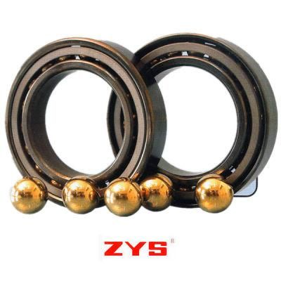 Zys Special Precision Bearings-Bearing with Solid Lubricant