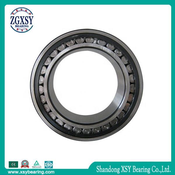 Cylindrical Roller Bearing Nu209m Bearing