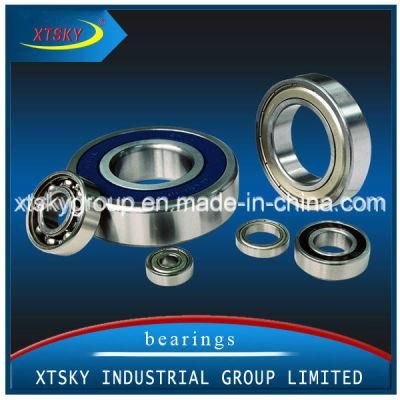 High Quality Deep Groove Ball Bearing (4202) with Brand