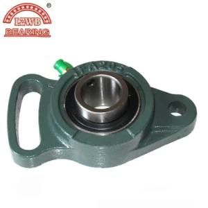 The Linqing Best Precision Pillow Block Bearing with Competitive Price