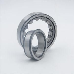 Quality Cylindrical Roller Bearings Rnu2217ecp Rnu220ecj Rnu220ecp Rnu2319ecml Rnu1024ml Rnu226ecm Rnu324ecj Rnu1030ml Rnu236ecma Rnu236ecml
