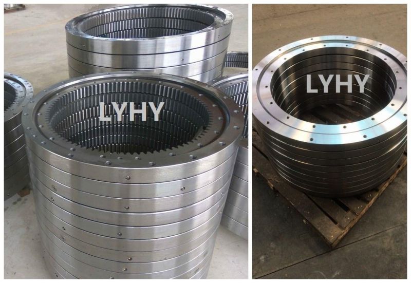 Slewing Ring Bearings Slewing Bearings 06-0307-00