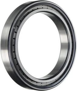 Cylindrical Roller Bearings, Full Complement Ncf29/950V Ncf18/1000V Ncf28/1000V Ncf29/1000V Ncf18/1120V