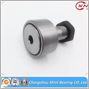 China Supplier of Curve Roller Bearing with High Quality
