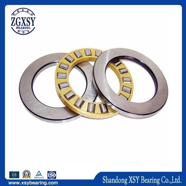 Large Diameter Thrust Ball Bearing