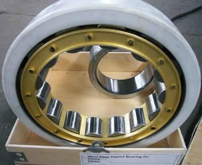 High Quality Cylindrical Roller Bearing N204 NTN NSK