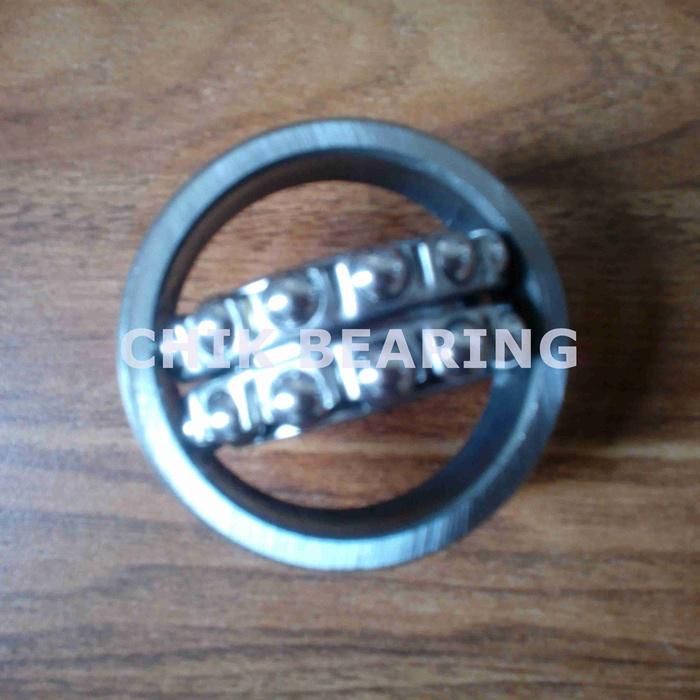 China Supplier Cheap Self-Aligning Ball Bearing 1508 (1.25")