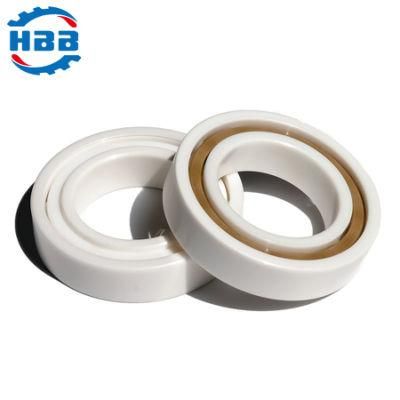 20mm (6804CE/6904CE/16004CE/6004CE/6204CE/6304CE/6404CE) High-Quality Ceramic Cycling Bearing for Bike