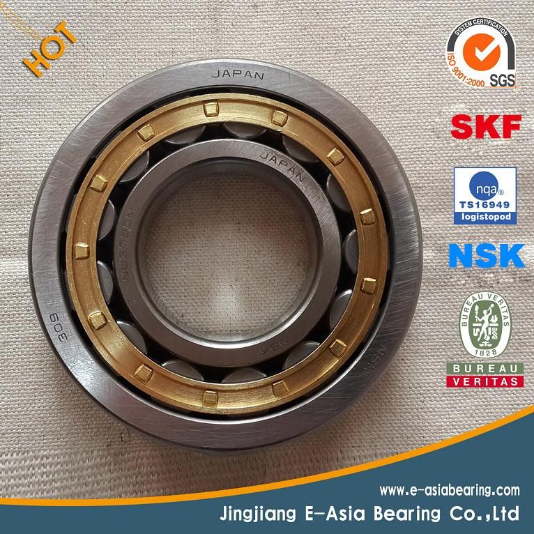 Pillow Block Bearing P207
