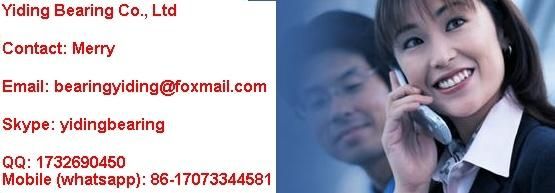 Brass Steel Cage Cylindrical Roller Bearing NSK Nu218ecp Nu218ecm