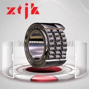 Specially Designed Three Row Cylindrical Roller Bearing