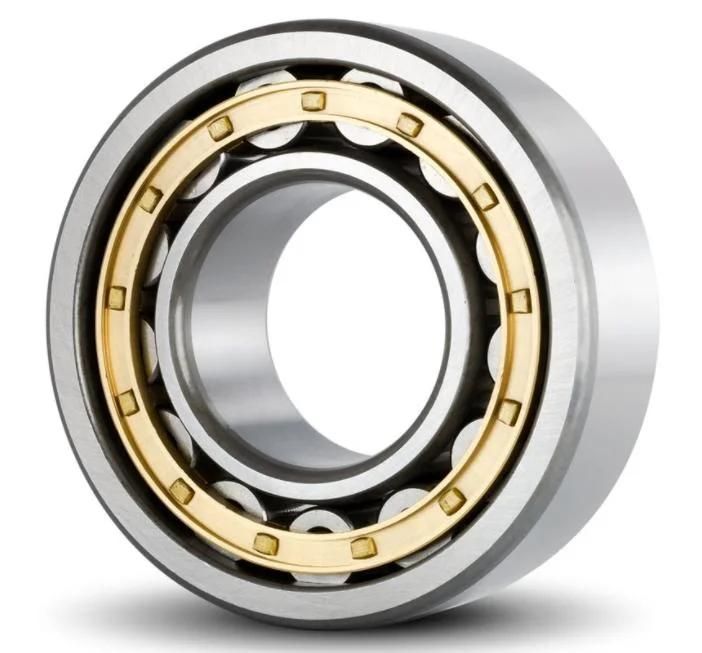 Cylindrical Roller Bearing N311EL/2311le 2311z NF311/12311 12311ea NF311m/12311h Nu311/32311 Nu311e/32311e 32311ea Nu311m/32311h Heavy Machinery Reducer