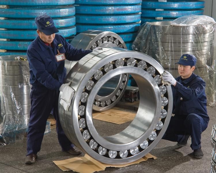 750mm Nnu40/750 44821/750 Double Rows Cylindrical Roller Bearing