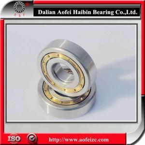 High quality NUP313M cylindrical roller bearing