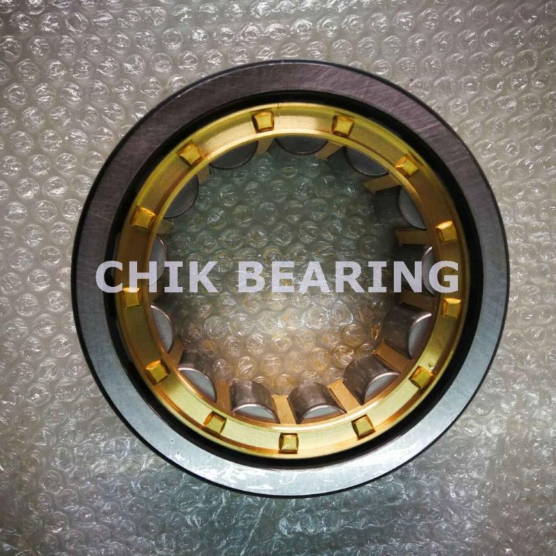 Germany Double Row Cylindrical Roller Bearings for Power Tools (NJ320)