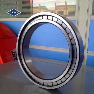 SKF Carb Toroidal Roller Bearing in Large Diameter (C39/800M)