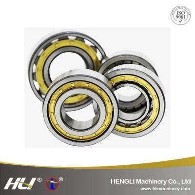 100*250*58mm N420EM Hot Sale Suitable For High-Speed Rotation Cylindrical Roller Bearing Used In Lifting Machinery