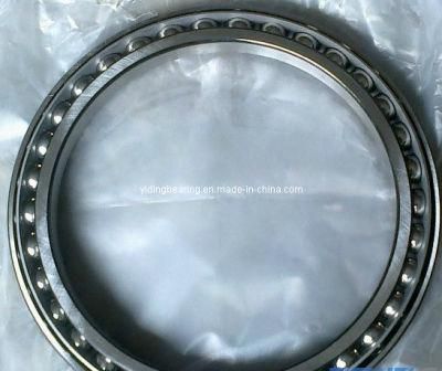 Made in China Bd130-2 Excavator Bearing