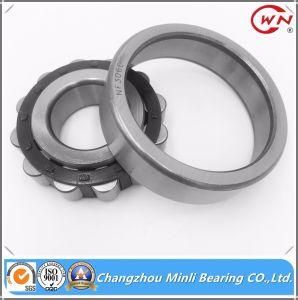 China Good Quality Cylindrical Needle Roller Bearing N Nu Nj