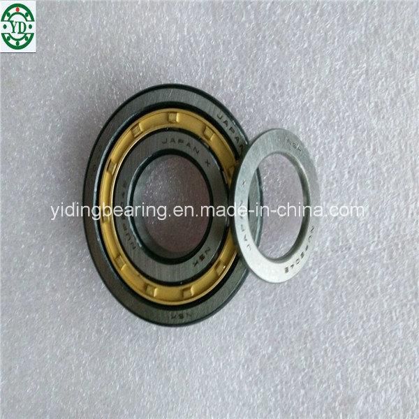 Nup409e-Tvp2 Nup409e. Tvp2 Brass NSK Nylon Cage Cylindrical Roller Bearing