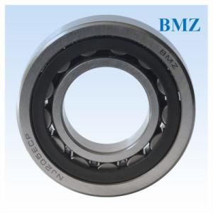 Cylindrical Roller Bearings (N, NJ, NU, NUP 200 series)