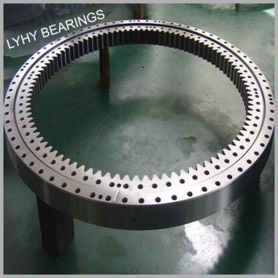 Slewing Ring Bearings with Internal Teeth for Road Roller Machine Zb1.25.1155.200-1stpn