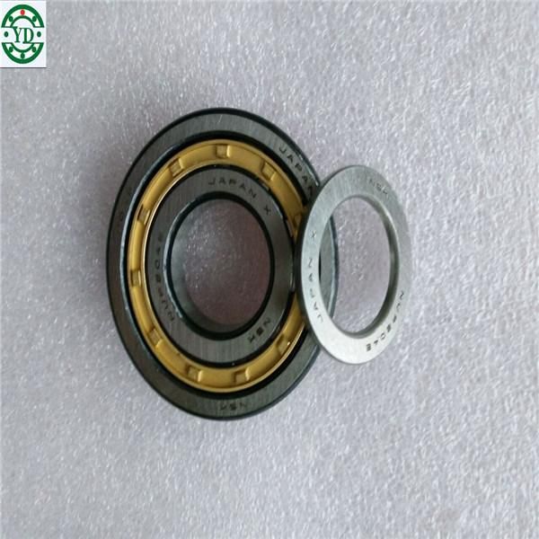 Brass Steel Cage Cylindrical Roller Bearing NSK Nu218ecp Nu218ecm