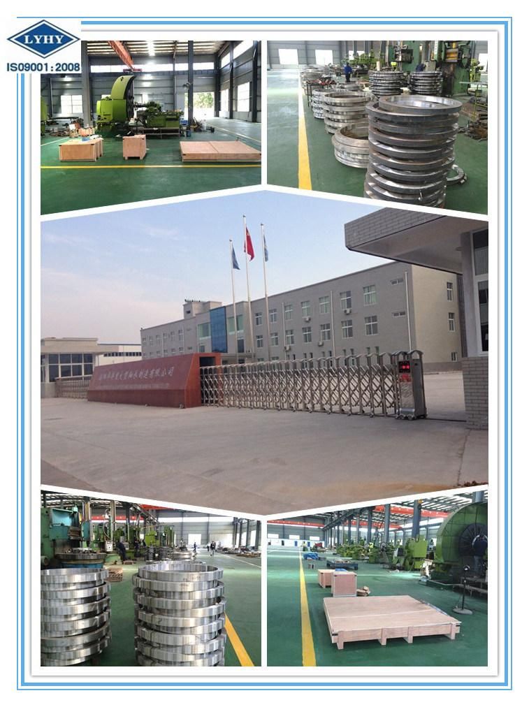 Slewing Ring Bearing Gear Bearing Turntable Bearing 03-0260-00