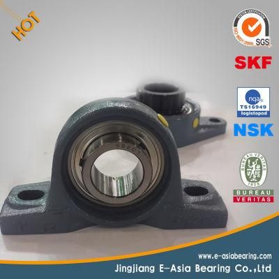 Long Cylindrical Roller Bearing