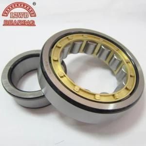 Double Row Cylinderical Roller Bearing with ISO Certificated (NN3014K)