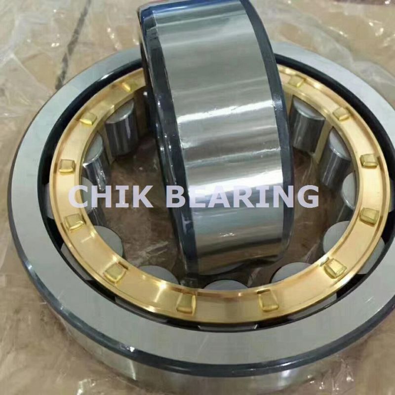 Famous Japan Brand Bearing Cylindrical Roller Bearing (NUP1032 NUP1032E)