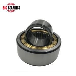 Cylindrical Roller Bearing Nu1004 Nu1006 Nu1008 Nu1010 Nu1012 Nu1014 Nu1016 Cylindrical Roller Bearings