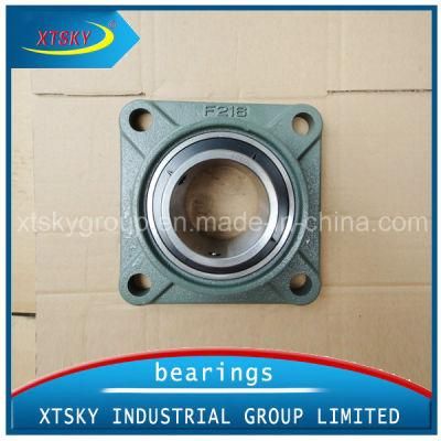 Xtsky Pillow Block Bearing (UCF216)