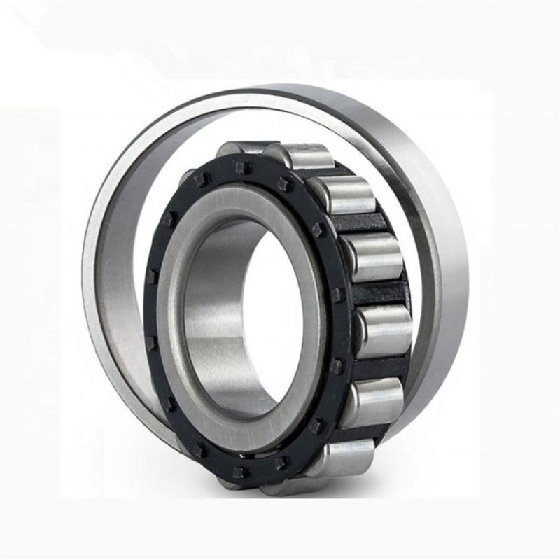 Hot Selling Factory Price 40mm Double Row Cylindrical Roller Bearings