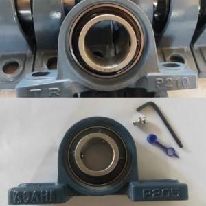Cast Iron Two Bolt Flanged Pillow Block Bearing