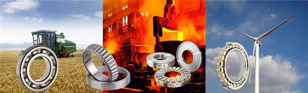 ISO9000 Quality Taper Roller Bearings for Hearvy Machines (30313)