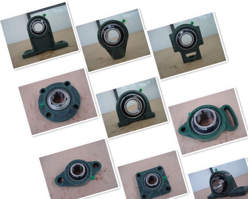 ISO Certificated Pillow Block Bearing UCFL205-16 Series