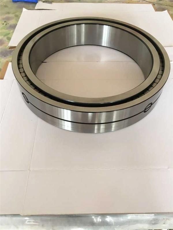 Chik/NSK/SKF/NTN/Koyo/ /Timken Brand N2305~N2312 Model Cylindrical Roller Bearings for Sale