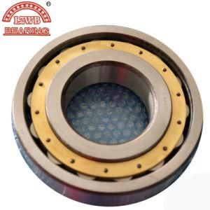 Professional Manufacturing Cylinder Roller Bearing (N320M)