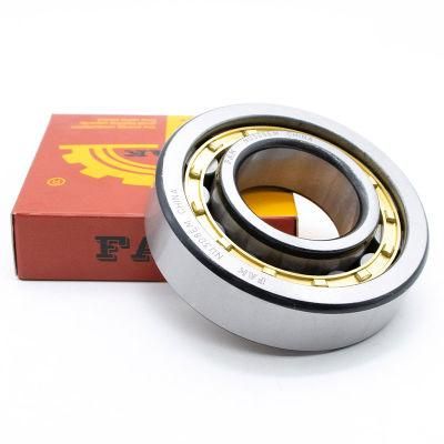 Motorcycle Parts Fak Reduction Box Bearing Nup248m Nup252m Nu260m Cylindrical Roller Bearing