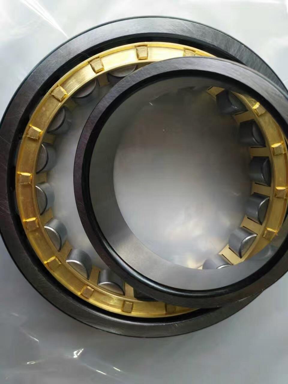 High Quality China Supply Cylindrical Roller Bearing for Rowing Machines (NU309EM)