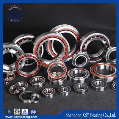 China Supplier 7410b Engine Bearing Angular Contact Ball Bearing